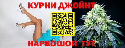 молекула духа Будённовск