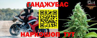 молекула духа Будённовск