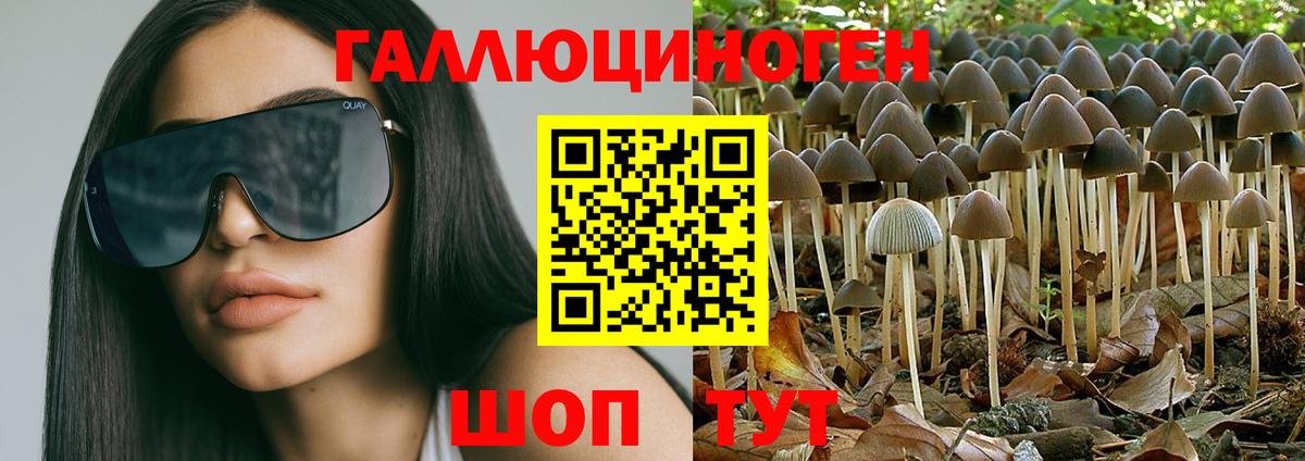 Саранск  Галлюциногенные грибы мухоморы  Вход с VPN 