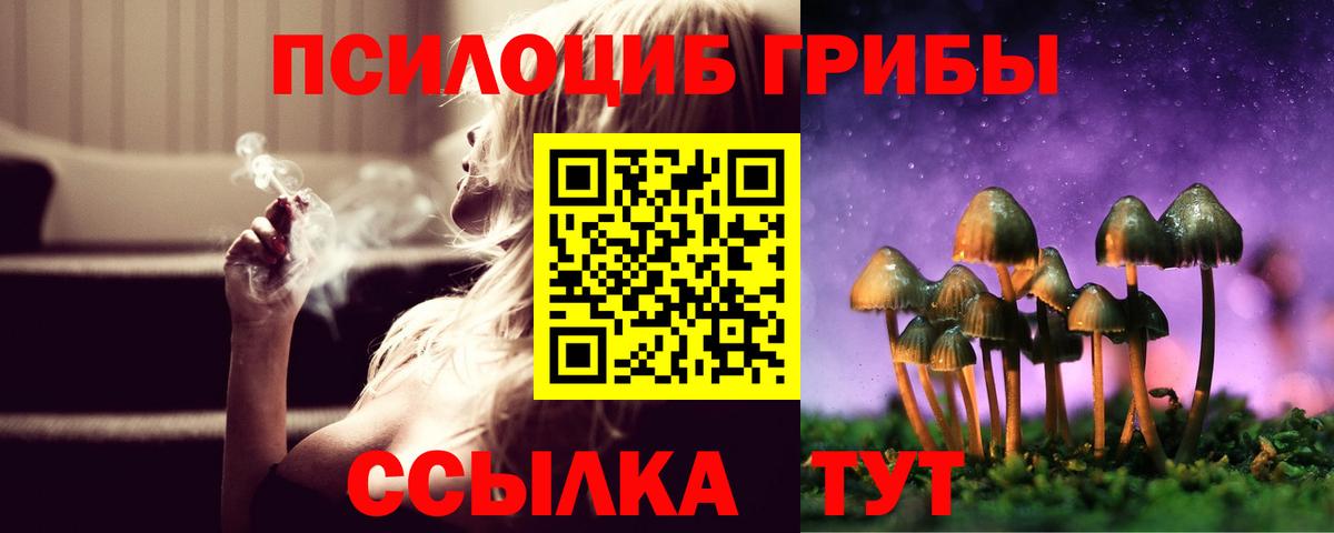 Псилоцибиновые грибы мухоморы Саранск